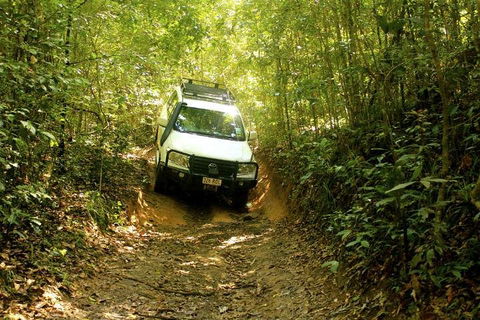 Barron Gorge And Kuranda National Park Half Day Rainforest And Waterfall 4WD Tour From Cairns - Lightning Ridge Tourism 2
