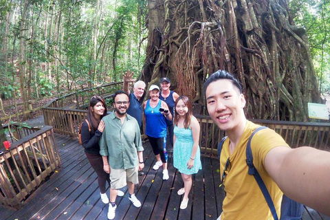 Barron Gorge And Kuranda National Park Half Day Rainforest And Waterfall 4WD Tour From Cairns - Lightning Ridge Tourism 5