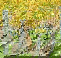 Margaret River Indulge and Discover Day Tour - Lightning Ridge Tourism