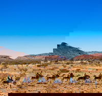 Alice Springs Camel Tour - Lightning Ridge Tourism