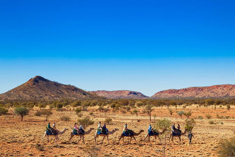 Alice Springs Camel Tour - Lightning Ridge Tourism 0
