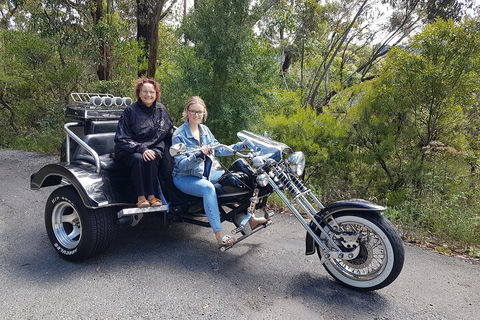 Blue Mountains 1-Hour Trike Tour Of Three Sisters - Lightning Ridge Tourism 1