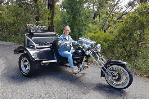 Blue Mountains 1-Hour Trike Tour Of Three Sisters - Lightning Ridge Tourism 4