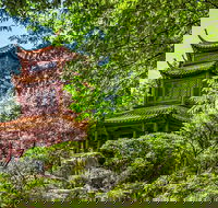 Chinese Garden General Admission Ticket - Lightning Ridge Tourism