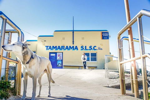 Smartphone & Camera Photography Basics - Lightning Ridge Tourism 5