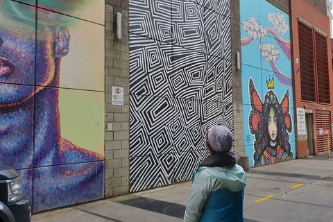 Jimmy C Street Art Walking Tour - Lightning Ridge Tourism 2