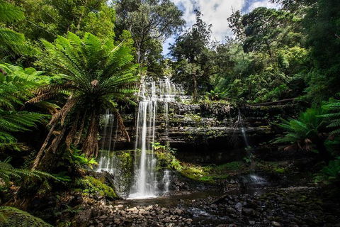 3-Day Tour To The Falls, Mountains, Lake & More Of West Coast Tasmania - Lightning Ridge Tourism 4