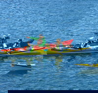 Half-Day Sydney Middle Harbour Guided Kayaking Eco Tour - Lightning Ridge Tourism