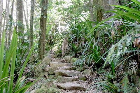 Byron Bay Combo: Minyon Falls And Hinterland Day Trip And Learn To Surf At Byron Bay - Lightning Ridge Tourism 3