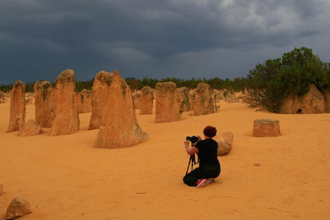 The Pinnacles, Sea And Dunescapes, Bush Reserve And Sunset Day Tour - Lightning Ridge Tourism 2
