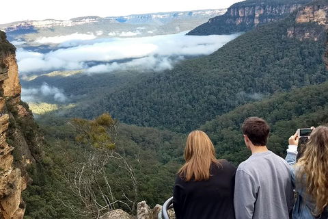 Blue Mountains Private Tour - Wild Kangaroos, Waterfalls And The Three Sisters - Lightning Ridge Tourism 3