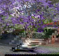 Sydney Secrets  Bondi Beach Private 4 Hr Morning with Personalised Sydney Tours - Lightning Ridge Tourism