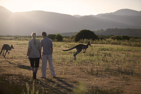 Overnight Daylesford And Macedon Ranges Gourmet Food Trail Tour From Melbourne - Lightning Ridge Tourism 1