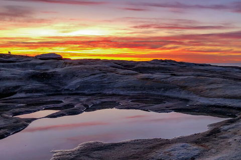Phone Photography Workshop - Explore Coogee Beach - Lightning Ridge Tourism 3