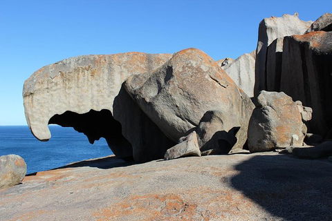 Kangaroo Island Personal Group Tours - Lightning Ridge Tourism 2
