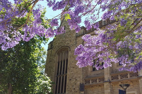 Cultural Caper Adelaide Walking Tour - Lightning Ridge Tourism 1