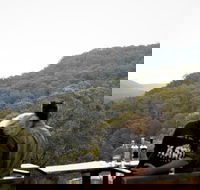 Taste of the Blue Mountains - Lunch  Wine tasting Beer Cider  Gin Tasting - Lightning Ridge Tourism
