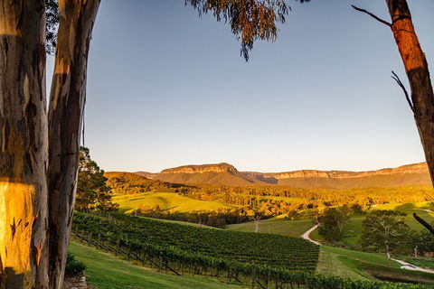 Taste Of The Blue Mountains - Lunch & Wine Tasting, Beer, Cider & Gin Tasting - Lightning Ridge Tourism 1