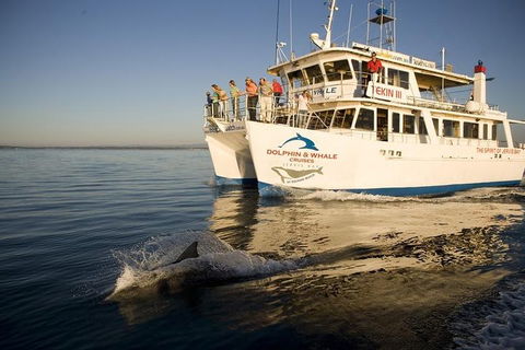 Jervis Bay Dolphin Watch Cruise - Lightning Ridge Tourism 3