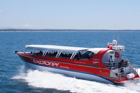 Whale Watching Jervis Bay - Lightning Ridge Tourism 1