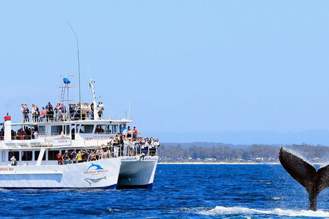Whale Watching Jervis Bay - Lightning Ridge Tourism 4
