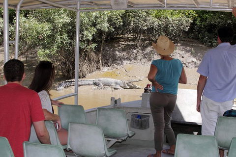 Whitsunday Crocodile Safari Including Lunch - Lightning Ridge Tourism 4
