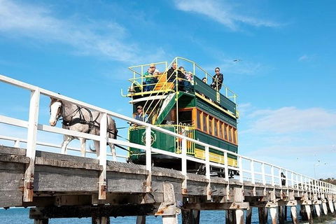 6 Days Adelaide All-Inclusive Touring Package - Lightning Ridge Tourism 2