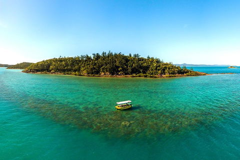 Airlie Beach Glass Bottom Boat Tour - Lightning Ridge Tourism 3