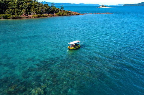 Airlie Beach Glass Bottom Boat Tour - Lightning Ridge Tourism 4