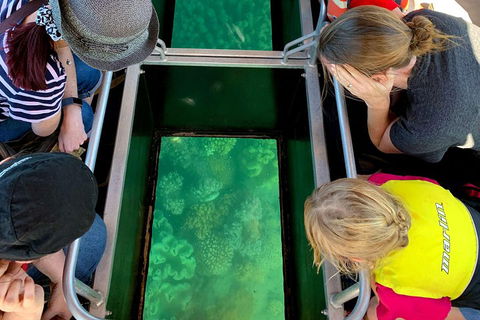 Airlie Beach Glass Bottom Boat Tour - Lightning Ridge Tourism 5