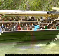 Hartley's Crocodile Adventure Half-Day Tour - Lightning Ridge Tourism