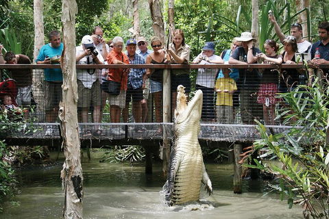 Hartley's Crocodile Adventure Half-Day Tour - Lightning Ridge Tourism 1