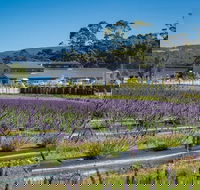 Private Hobart Discover South East Food and Scenic Tour - Lightning Ridge Tourism
