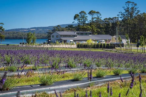 Private Hobart Discover South East Food And Scenic Tour - Lightning Ridge Tourism 0
