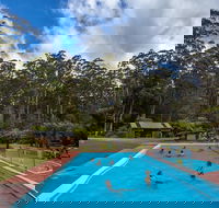 Tahune Airwalk Active Day Trip from Hobart Including Hastings Caves - Lightning Ridge Tourism