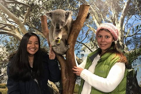 The Ultimate Sydney Attractions Pass - Lightning Ridge Tourism 1