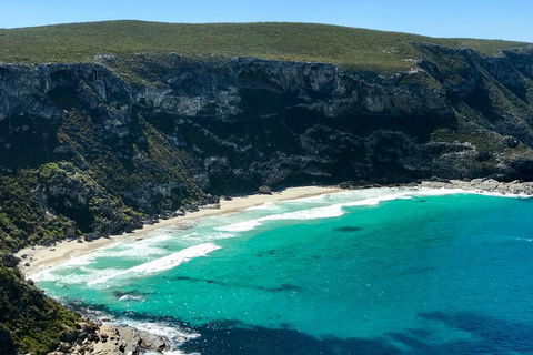 Kangaroo Island Scenic Trail Tour - Lightning Ridge Tourism 4