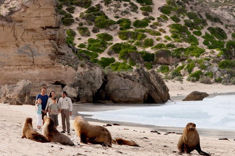 Kangaroo Island Scenic Trail Tour - Lightning Ridge Tourism 5