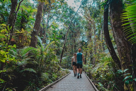Full Day Cooktown Private Tour - Lightning Ridge Tourism 0