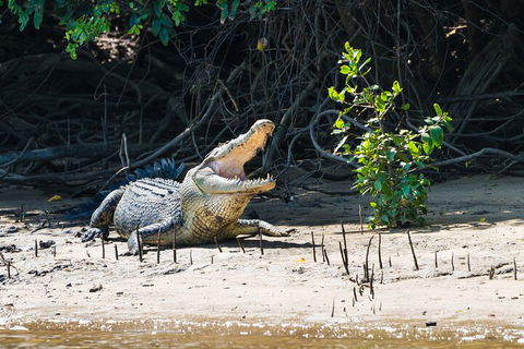 Full Day Cooktown Private Tour - Lightning Ridge Tourism 4