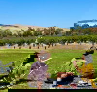 Private Picnic and Wine Tasting Experience in Barossa Valley - Lightning Ridge Tourism