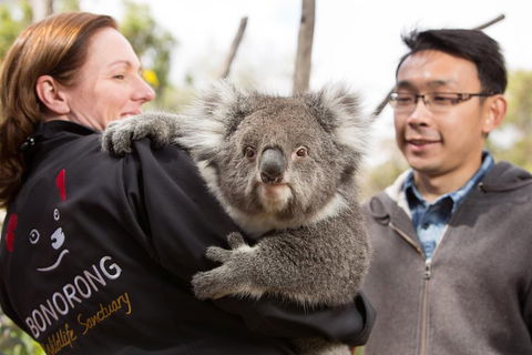 Bonorong Wildlife Park And Richmond Afternoon Tour From Hobart - Lightning Ridge Tourism 0