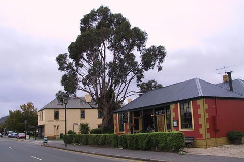 Bonorong Wildlife Park And Richmond Afternoon Tour From Hobart - Lightning Ridge Tourism 3