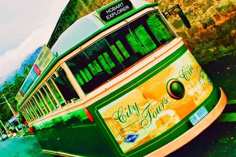 Hobart Half-Day Sightseeing Coach Tram Tour - Lightning Ridge Tourism 5