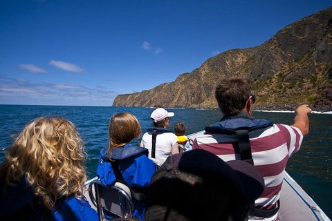 Seal Island Boat Tour From Victor Harbor - Lightning Ridge Tourism 0
