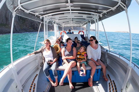 Seal Island Boat Tour From Victor Harbor - Lightning Ridge Tourism 1