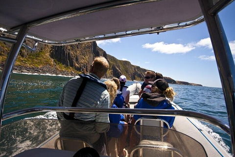Seal Island Boat Tour From Victor Harbor - Lightning Ridge Tourism 2