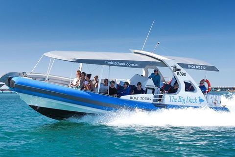 Seal Island Boat Tour From Victor Harbor - Lightning Ridge Tourism 3