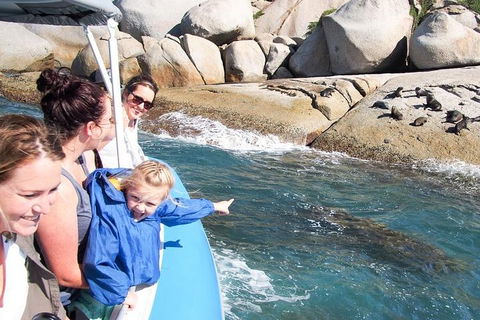Seal Island Boat Tour From Victor Harbor - Lightning Ridge Tourism 4