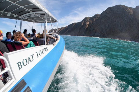 Southern Ocean Adventure From Victor Harbor - Lightning Ridge Tourism 0